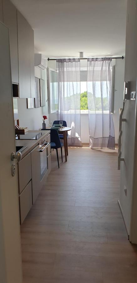 Studio Apartment Hana 普拉 外观 照片