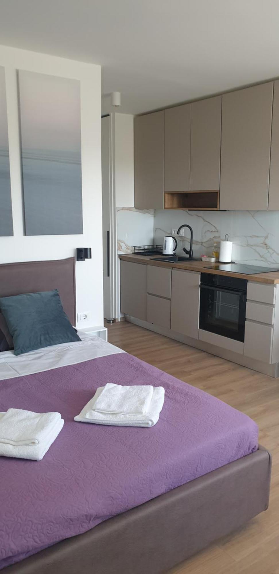 Studio Apartment Hana 普拉 外观 照片
